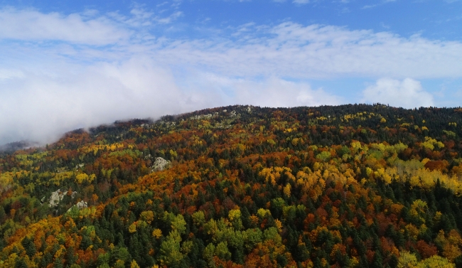 Sonbahar Uludağ'ı rengarenk ağaçlarla süsledi